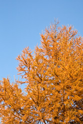 Similar image 687605