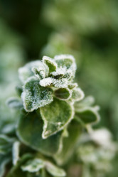 Similar image 687606