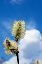 Similar image 687609