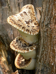 Similar image 687651