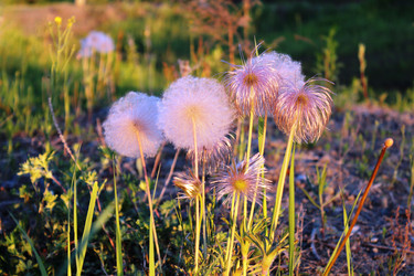 Similar image 687670