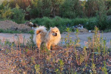 Similar image 687671