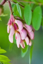 Similar image 687682