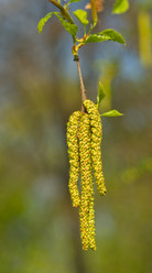 Similar image 687685