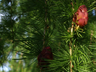 Similar image 687693