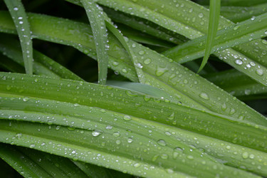 Similar image 687714