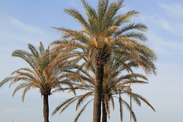 Similar image 687750