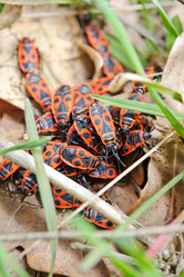 Similar image 687752