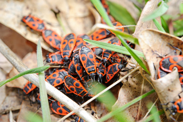 Similar image 687753