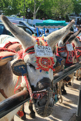 Similar image 687761