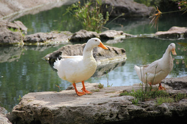 Similar image 687762