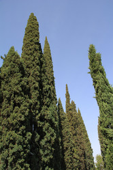 Similar image 687771