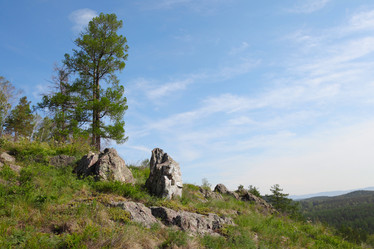 Similar image 687780