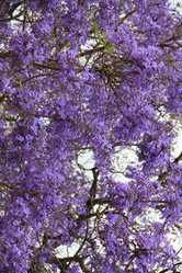 Similar image 687831