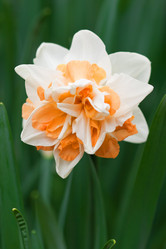 Similar image 687844