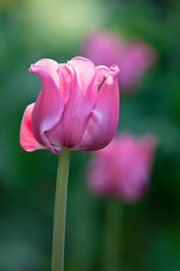 Similar image 687849