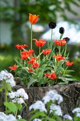 Similar image 687854