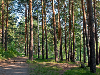 Similar image 687906