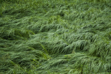 Similar image 687908