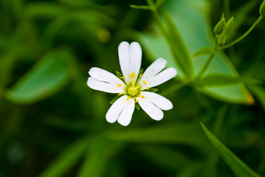 Similar image 687909