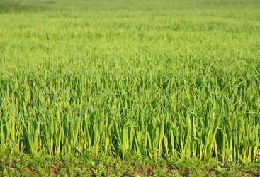 Similar image 687953