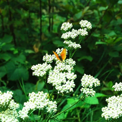 Similar image 687965