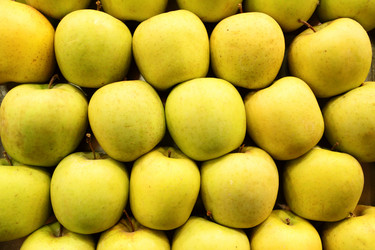 Similar image 687972