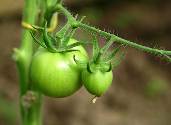 Similar image 687980