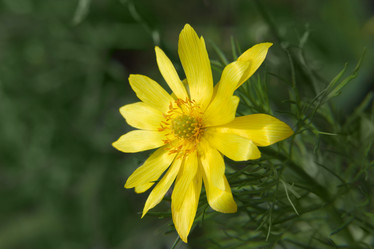 Similar image 688016