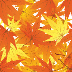 Similar image 688020