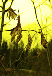 Similar image 688035