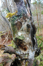 Similar image 688039