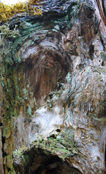 Similar image 688041