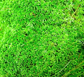 Similar image 688044