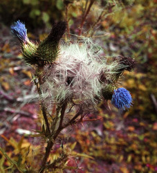 Similar image 688049