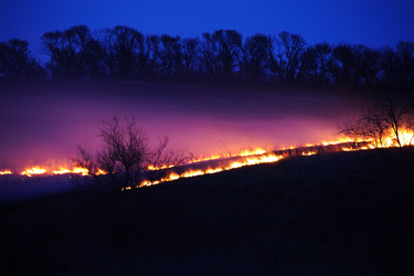 Similar image 688088