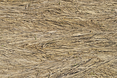 Similar image 688251