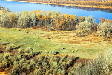 Similar image 688268