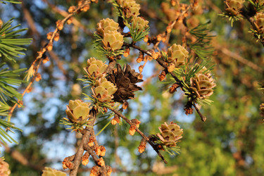 Similar image 688274