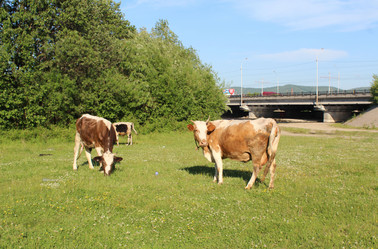 Similar image 688279