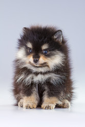 Similar image 688382