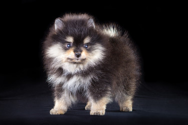 Similar image 688384