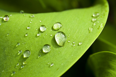 Similar image 688455