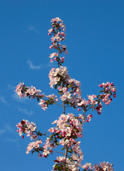 Similar image 688490