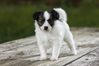 Similar image 688579