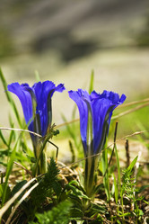 Similar image 688684