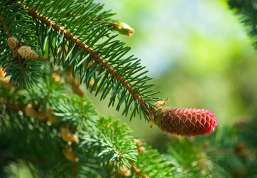 Similar image 688727