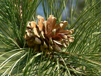 Similar image 688733