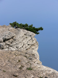 Similar image 688736