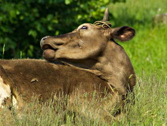 Similar image 688752